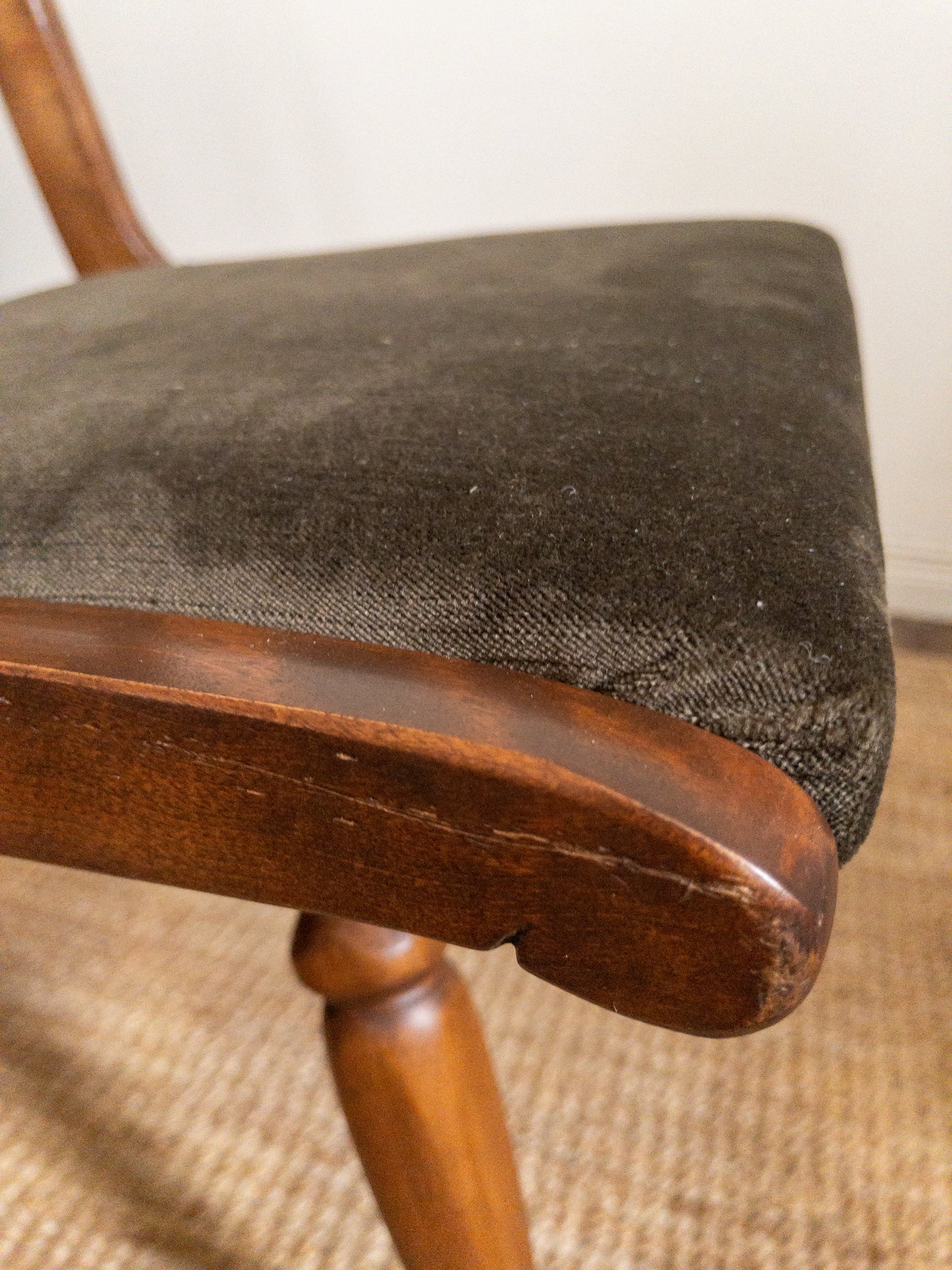 40s velvet dining chairs