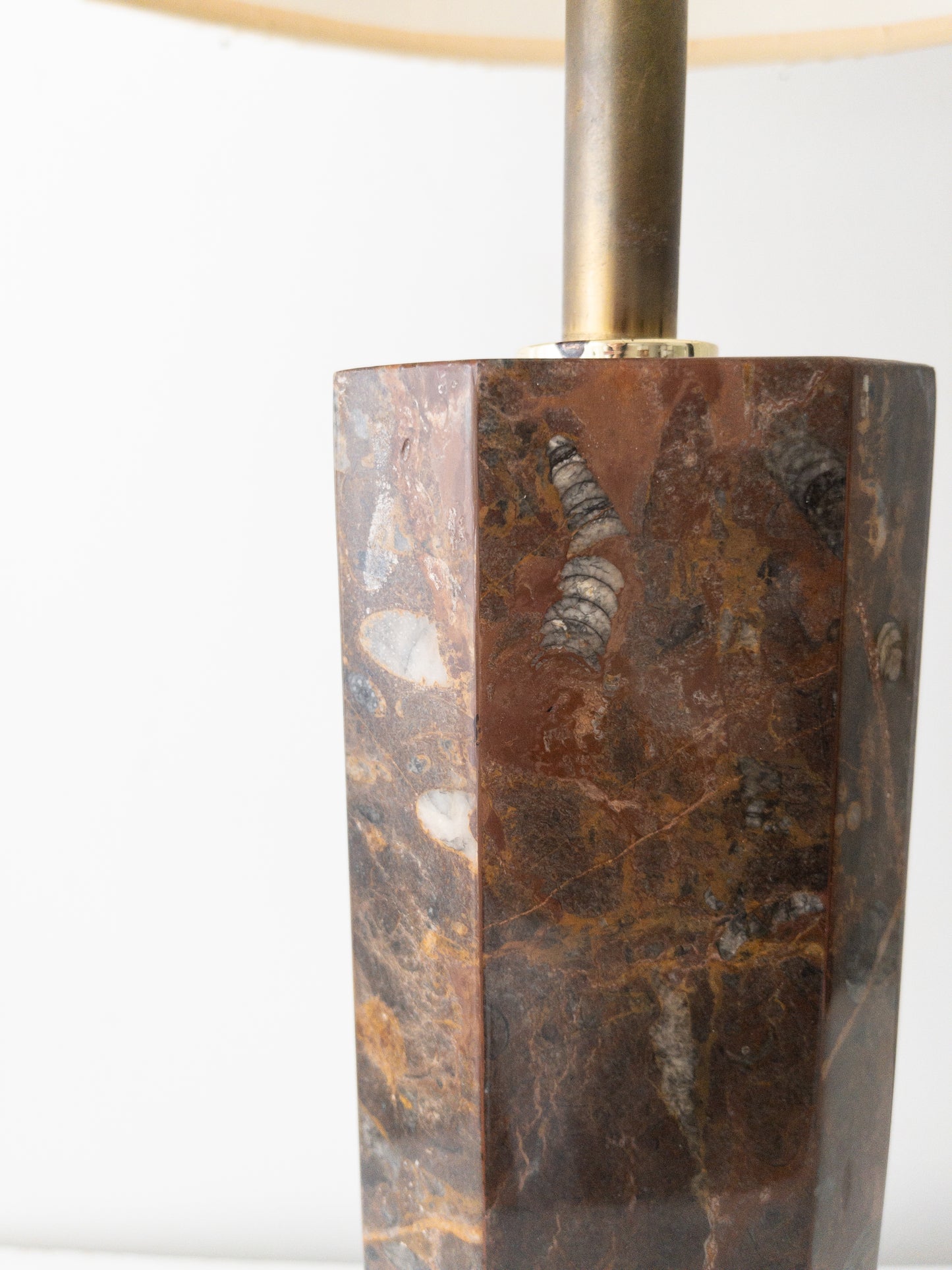 Fossil stone lamp