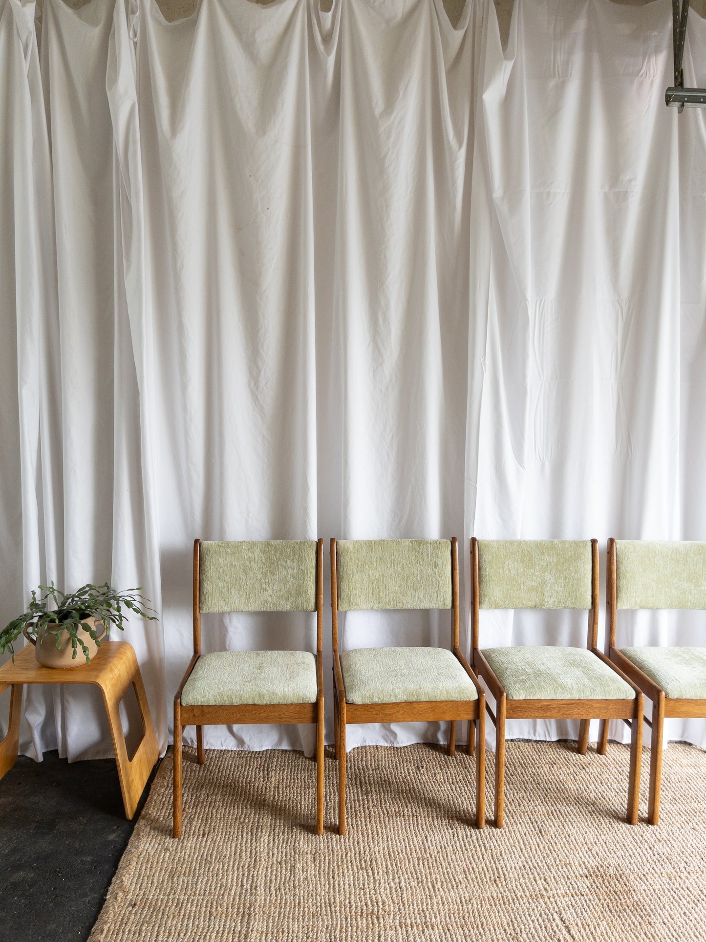 Celery dining chairs