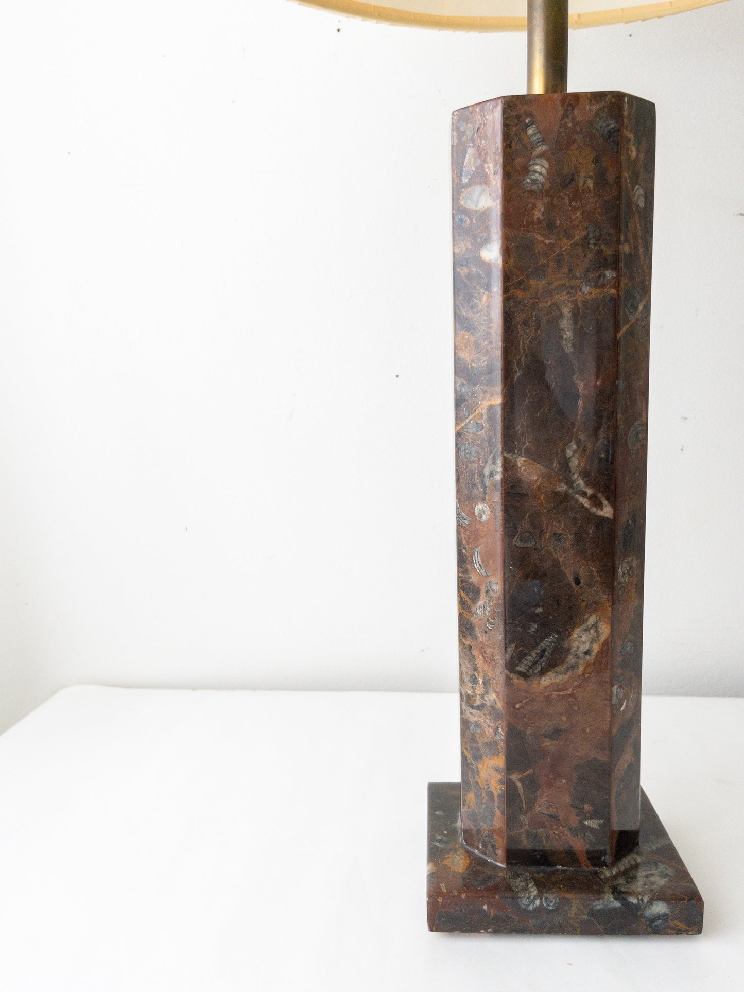 Fossil stone lamp