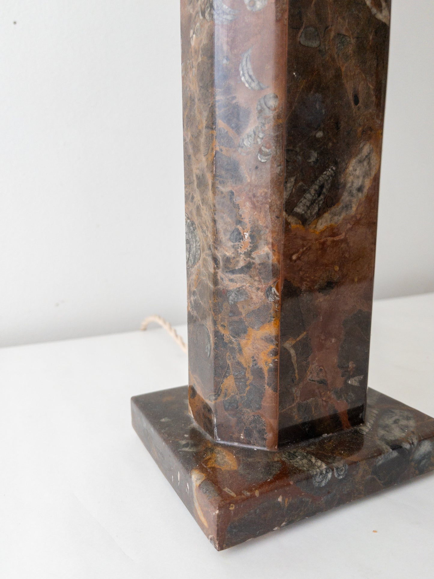 Fossil stone lamp