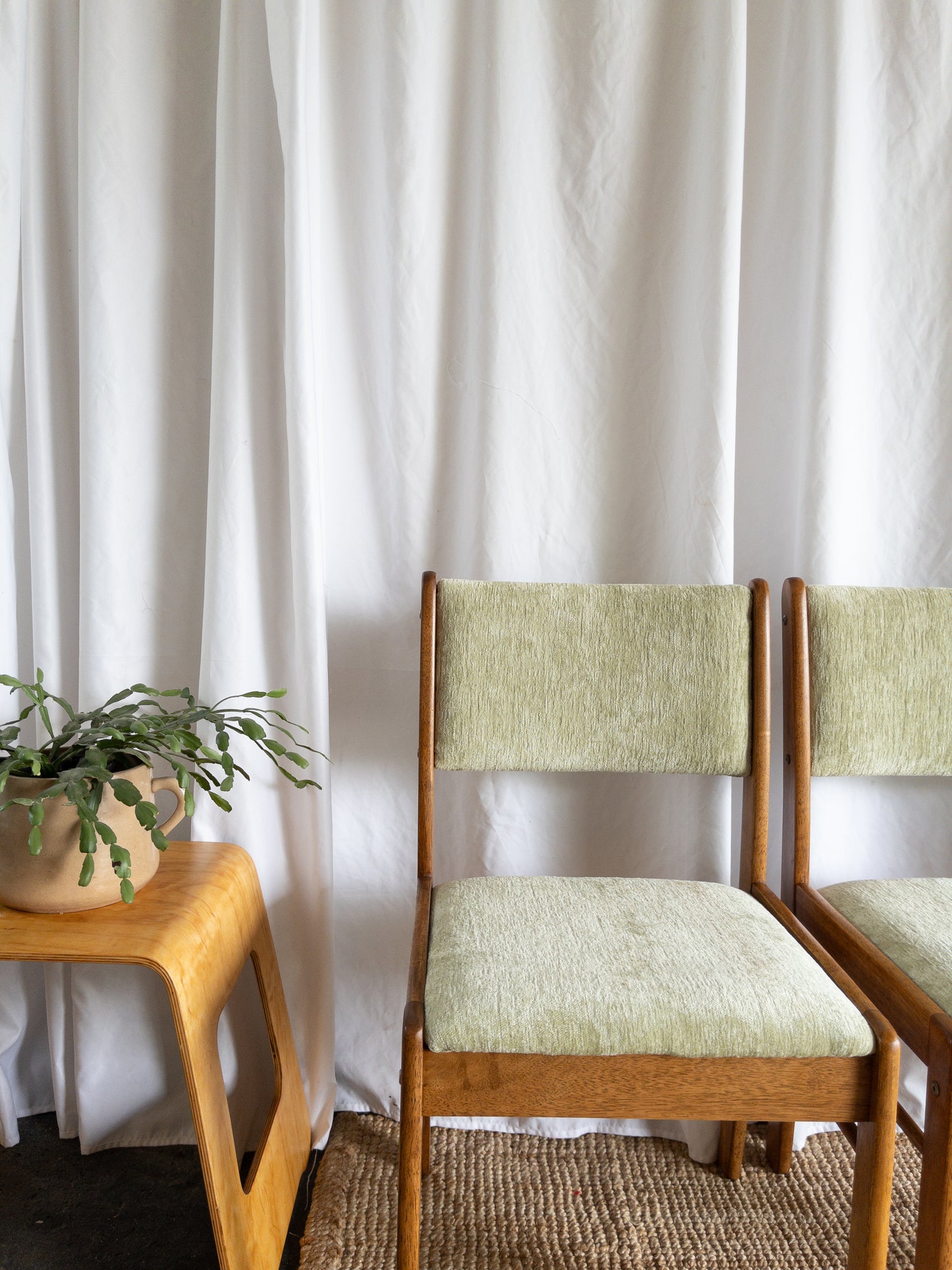 Celery dining chairs